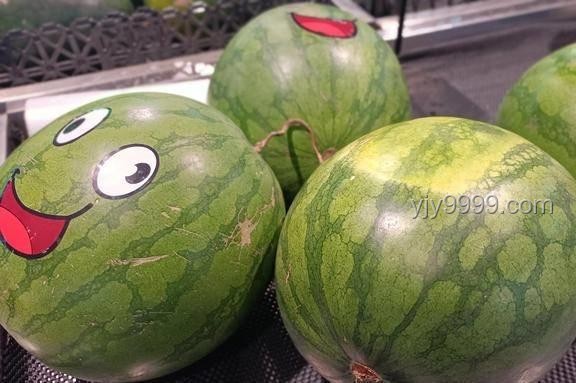 汉代遗址瓜皮与现代西瓜的对比分析